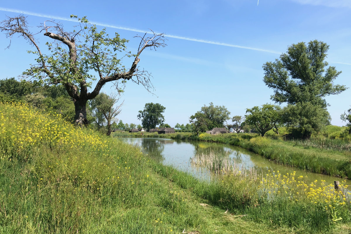 5x de mooiste Klompenpaden om te bewandelen