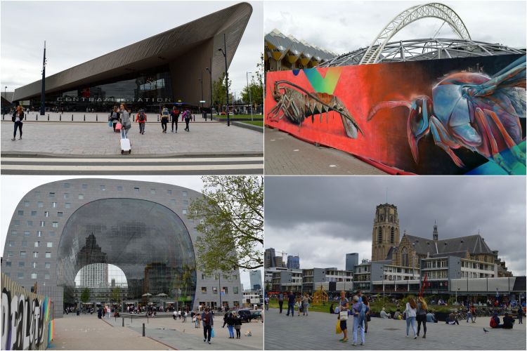 stadswandeling rotterdam