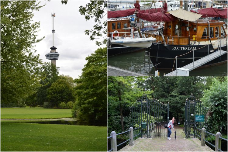 stadswandeling rotterdam