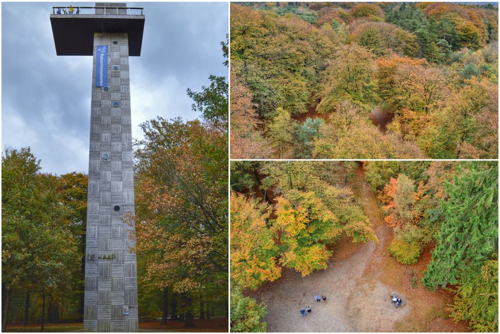 Uitkijktoren de Kaap - Kaapse bossen