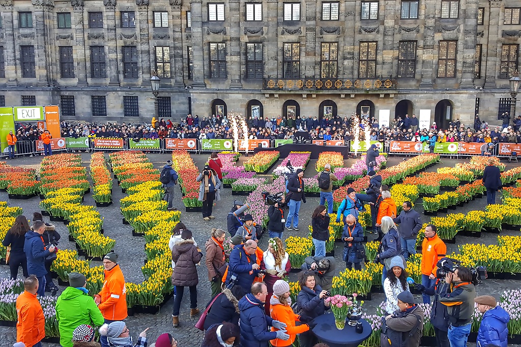 Nationale tulpendag Amsterdam