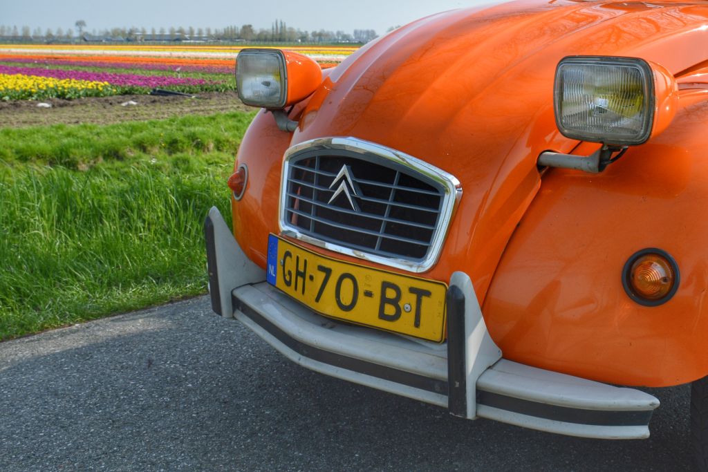 Oud eendje voor de tulpenvelden