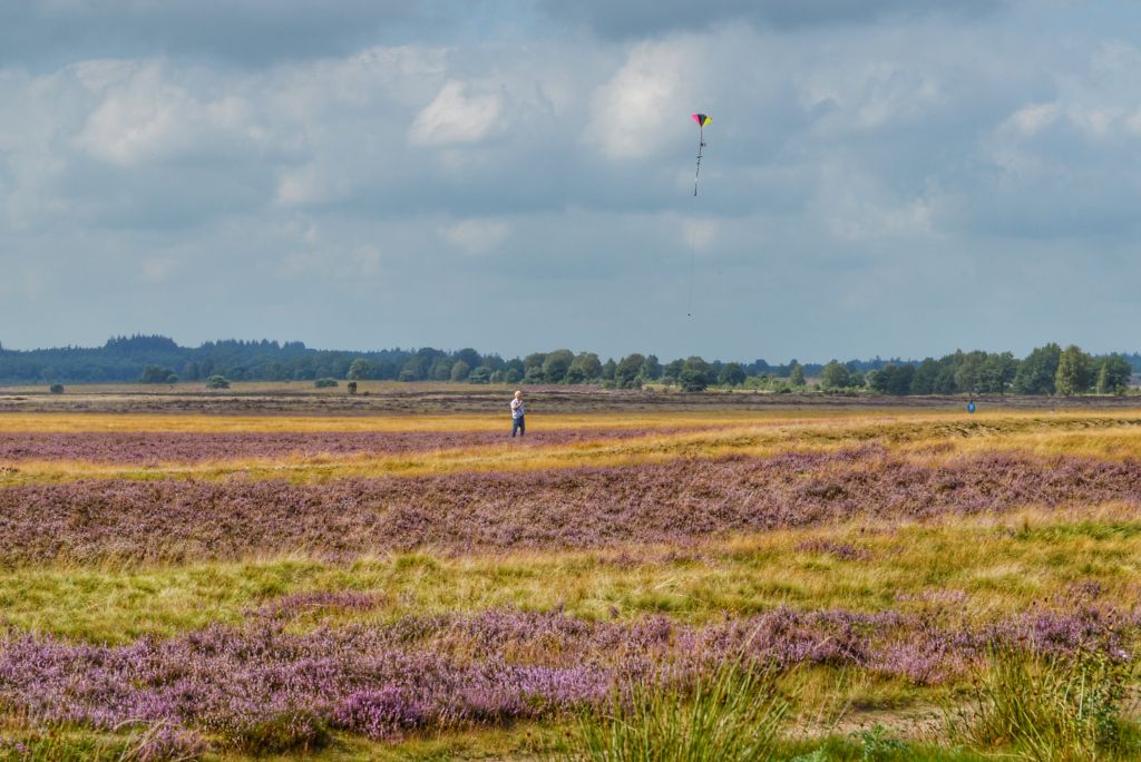 Ginkelse Heide