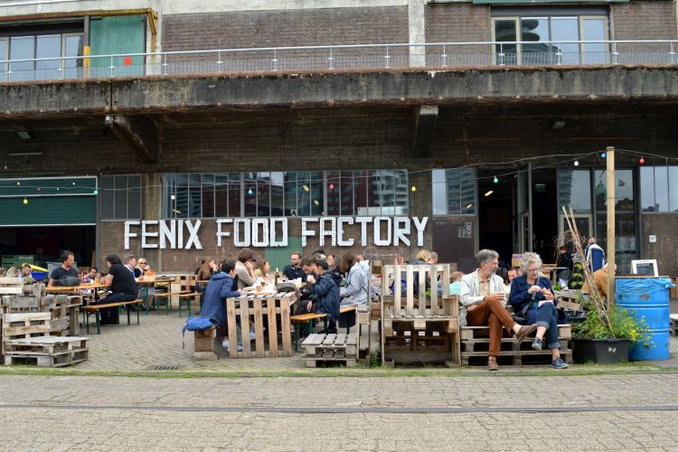 stadswandeling rotterdam