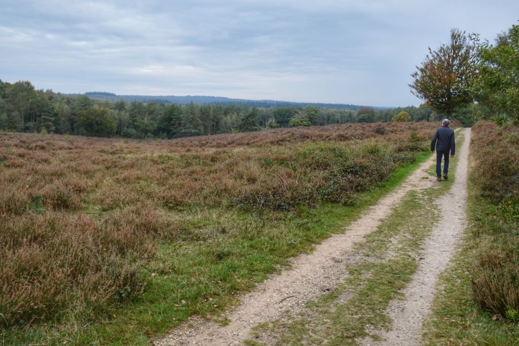 Elsterberg - Utrechtse Heuvelrug