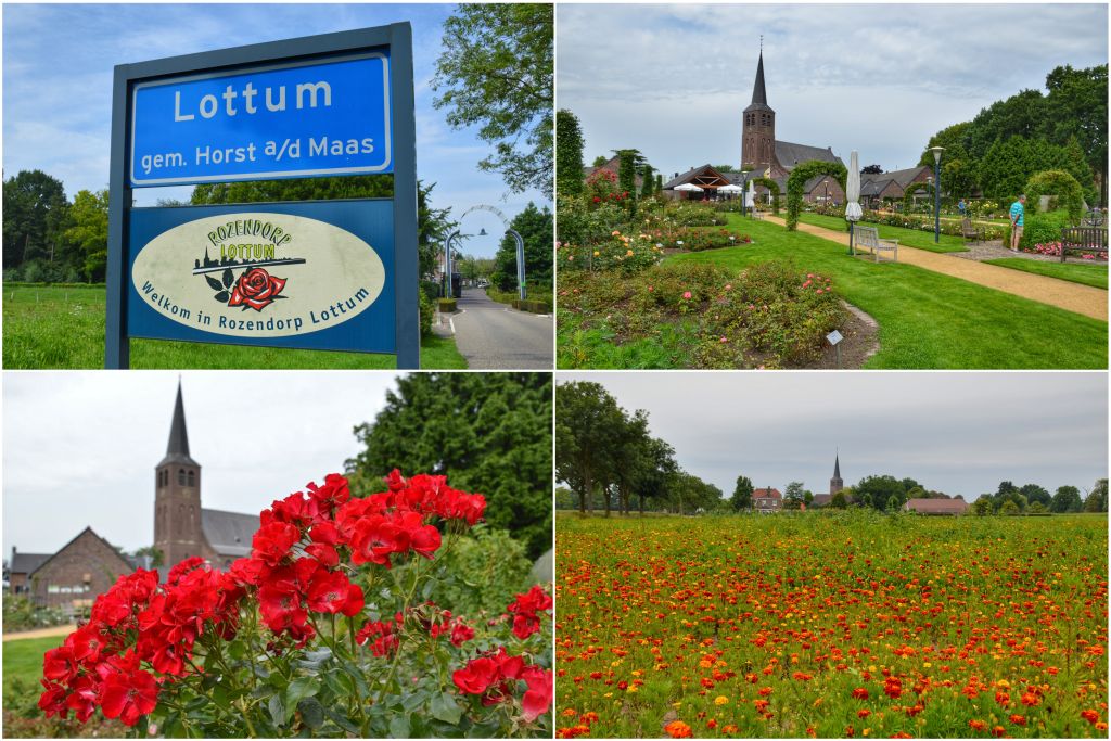 rozendorp lottum
