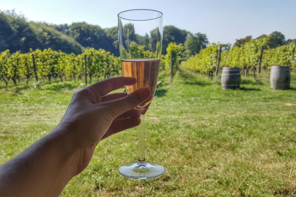 Proost! Bergparel Rose