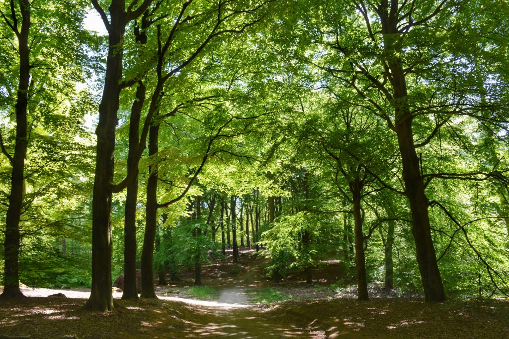 Landgoed Hoekelum - Bennekom