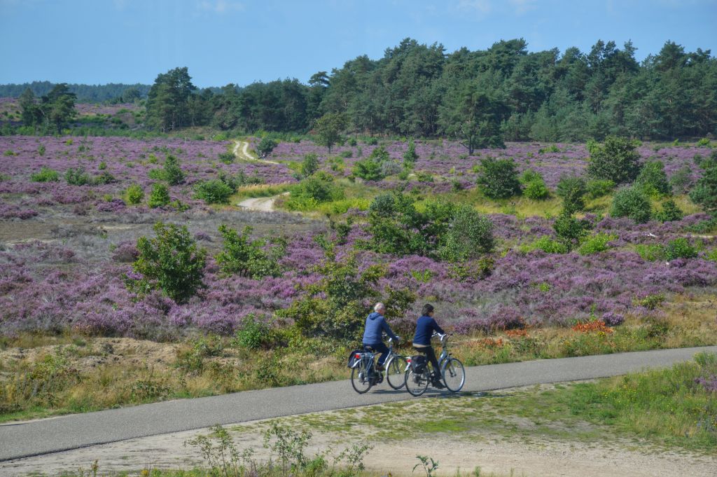 Fietsen over de heide