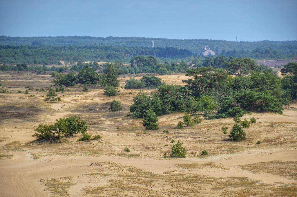 Uitzicht Kootwijkerzand