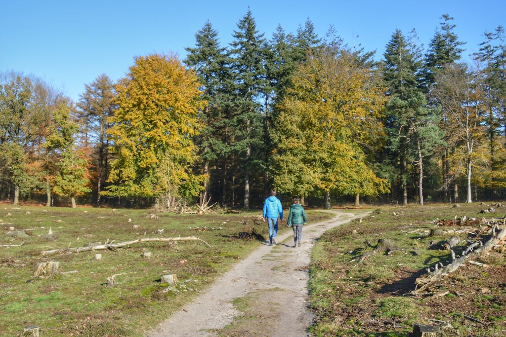 Plantage Willem III - Elst