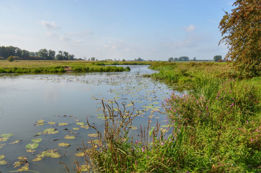 Amerongse Bovenpolder