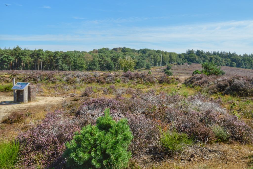 Heideveld Heumense Schans