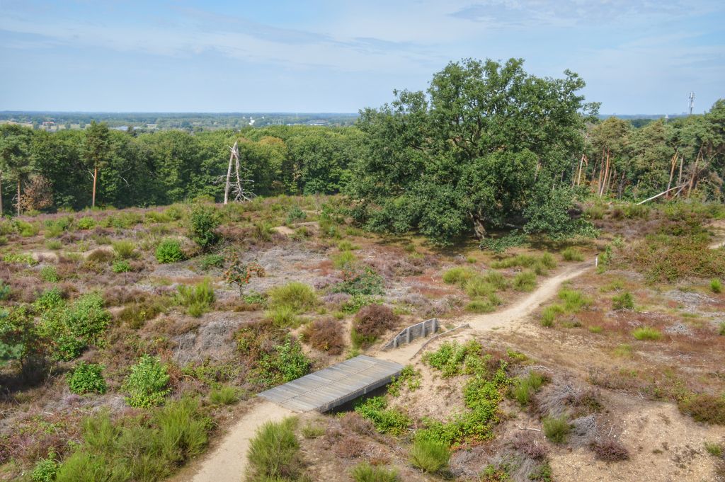 Uitzicht Mookerheide