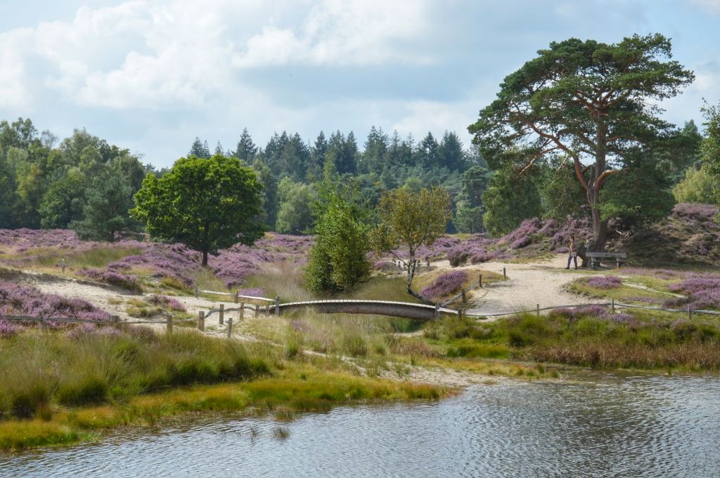 Landgoed Heidestein Bornia