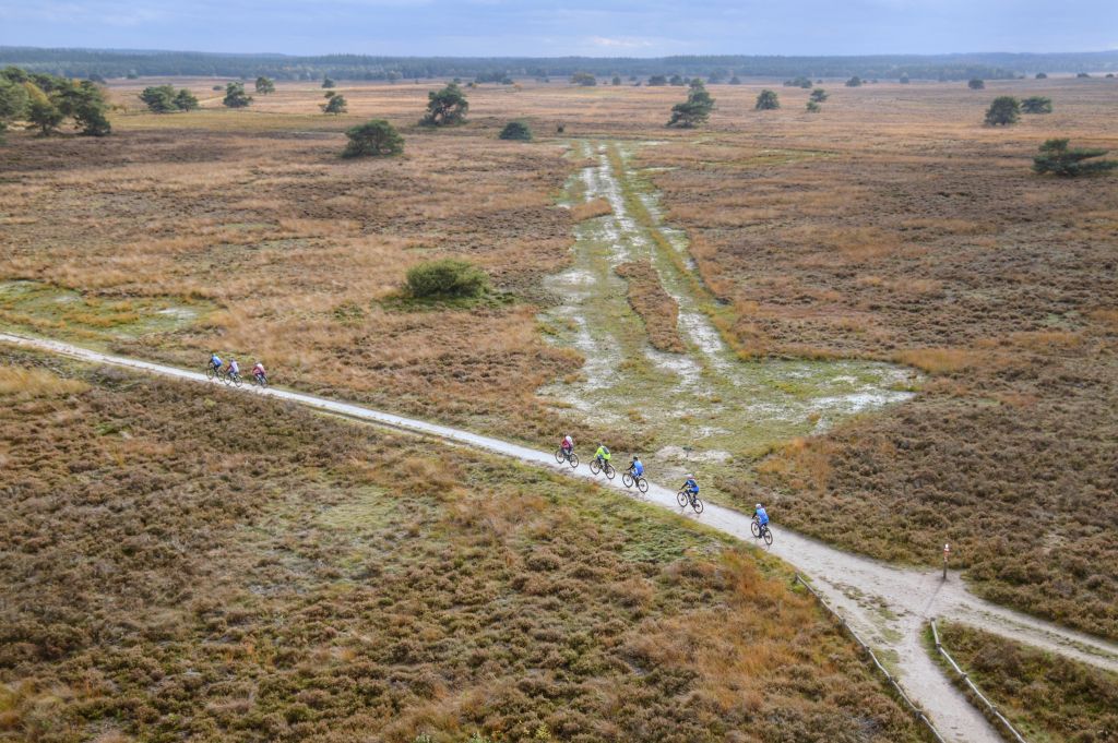 Mooie heidewandelingen op de Veluwe: Landgoed Stakenberg