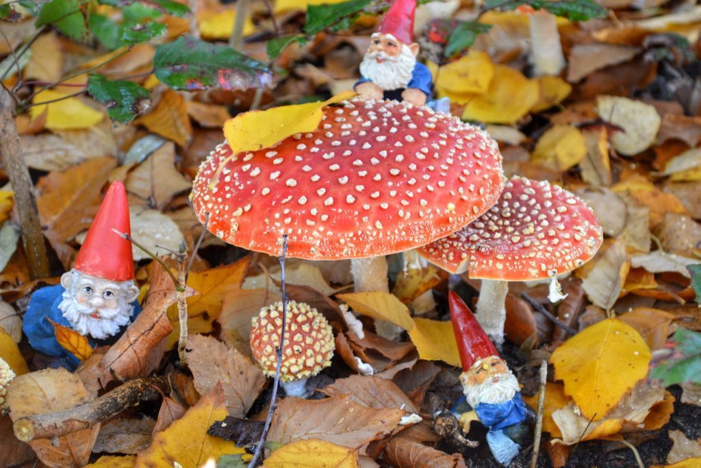 herfst utrechtse heuvelrug