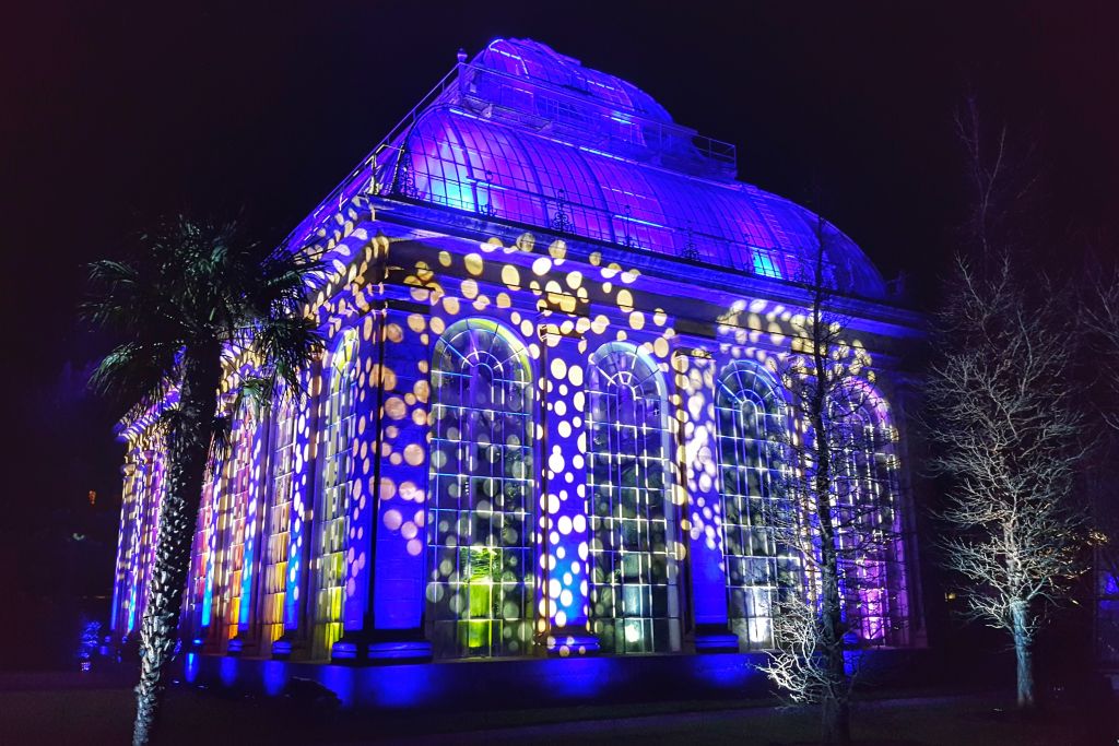 Christmas at the botanics Edinburgh