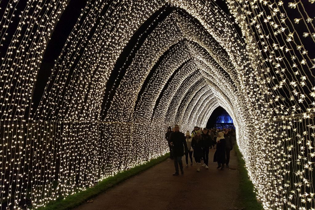 Christmas at the botanics Edinburgh
