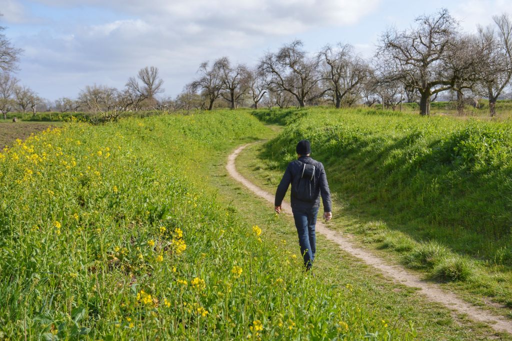 Werk aan de Groeneweg