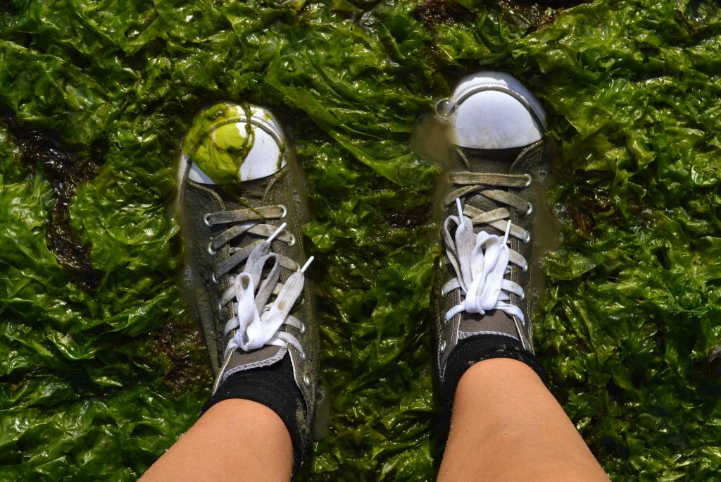 Culinair wadlopen Terschelling - Inclusief oesterproeverij
