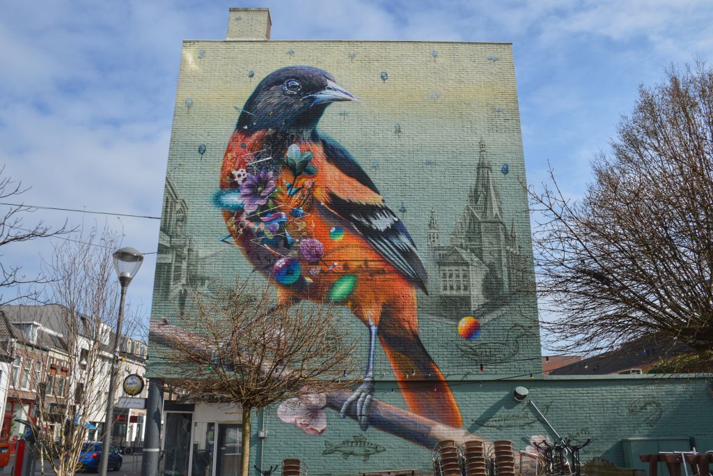 Muurschildering Nijmegen