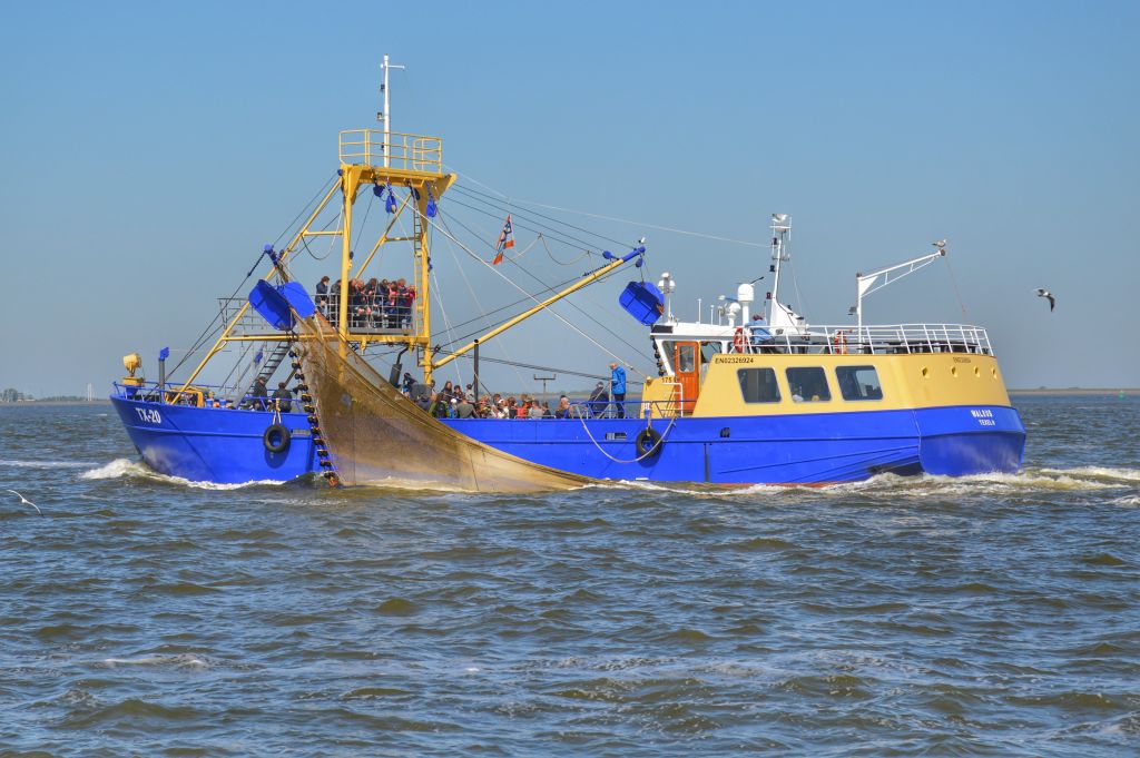 Texelse garnalenkotter