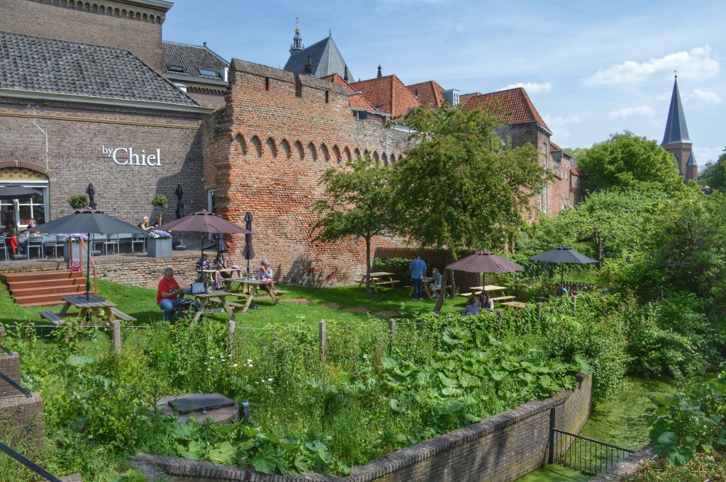 Terras By Chiel Zutphen