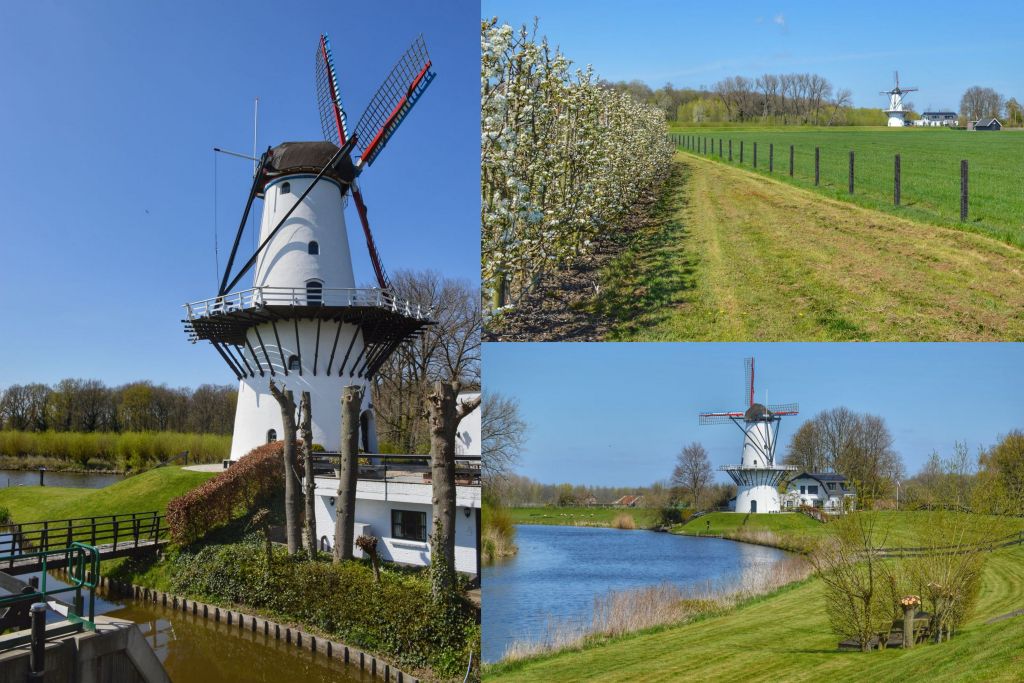 Molen de Vlinder