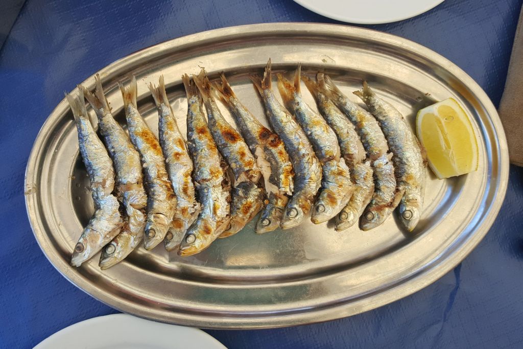 Sardientjes Malaga