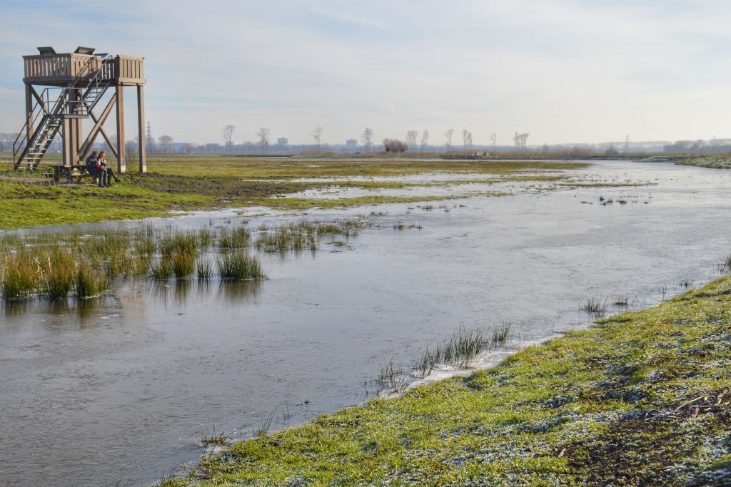 Uitkijktoren Binnenveldse Hooilanden
