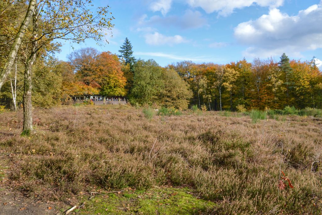 Chalet Helenaheuvel - Kaapse Bossen