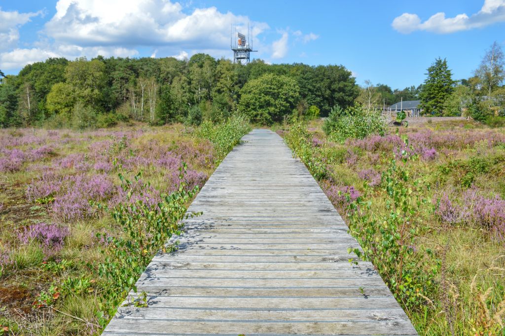 Mooie heidevelden Utrechtse Heuvelrug: Vliegbasis Soesterberg