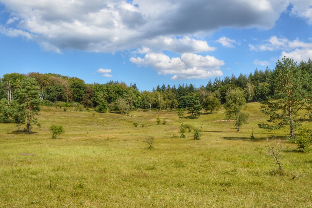 Natuurgebied de Paltz - Soest