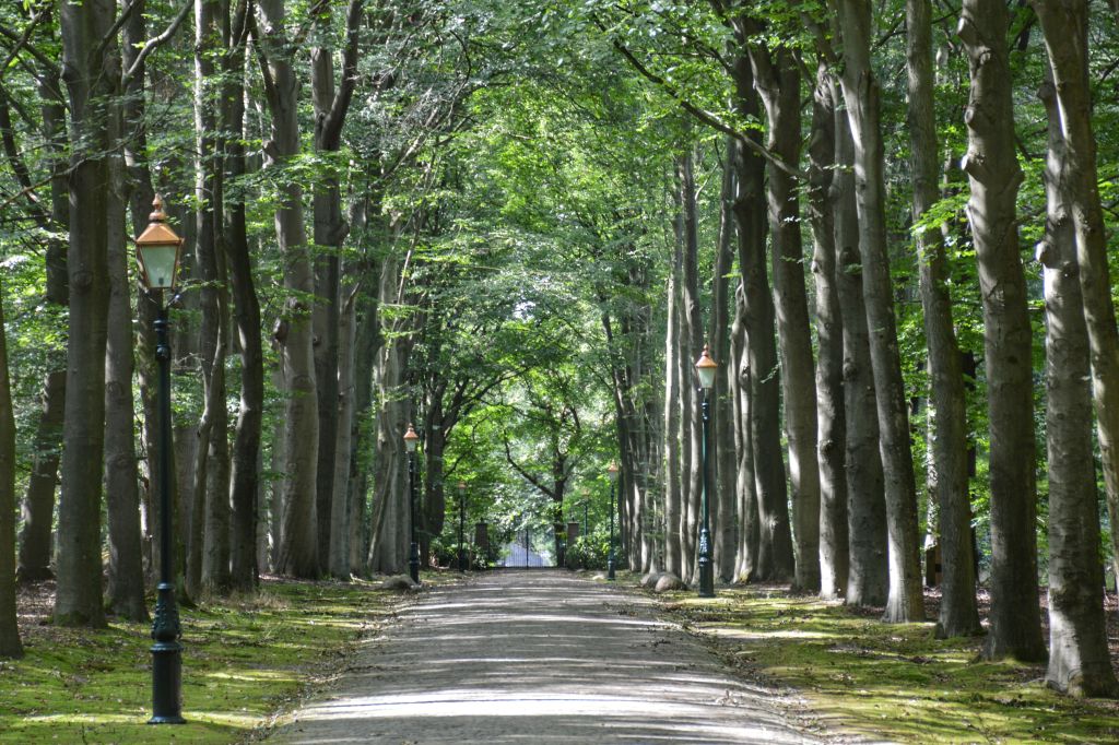 Landgoed de Paltz - Soest