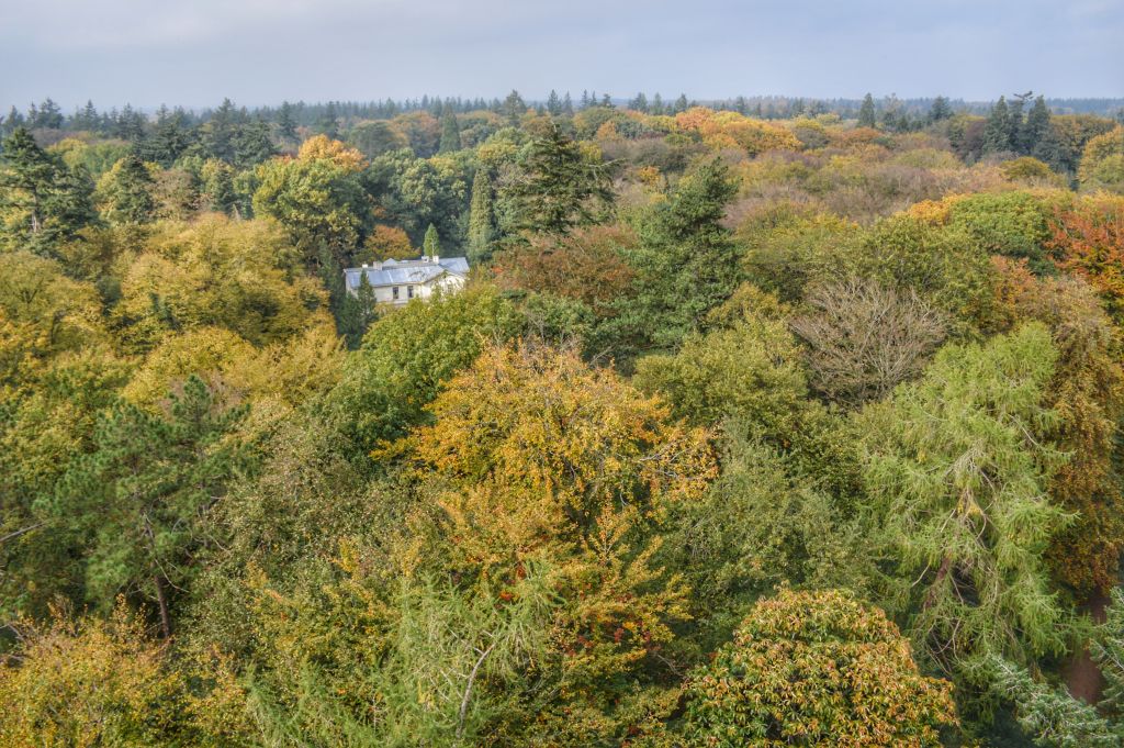 Uitzicht Bostoren Putten