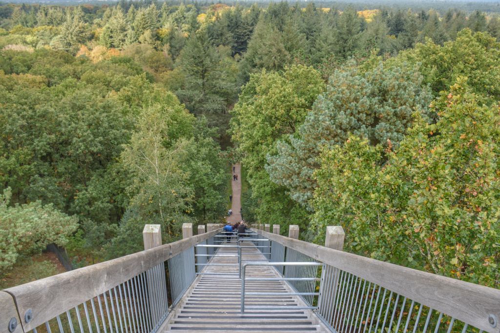 Kunstwerk Kijk uit Attention - Kroller Muller Museum