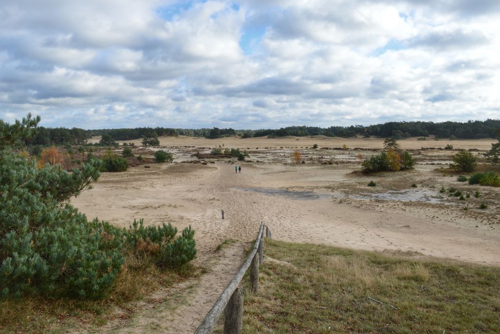 Uitzicht op het Hulshorsterzand - Veluwe