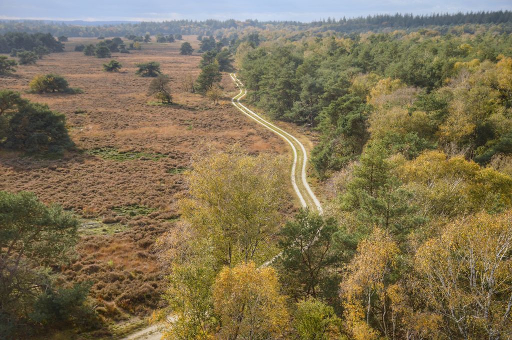 Uitzicht Elspeetse heide