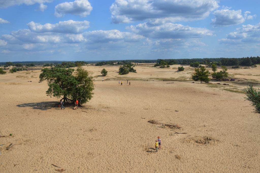 Mooie uitzichtpunten Veluwe: uitkijktoren Kootwijkerzand