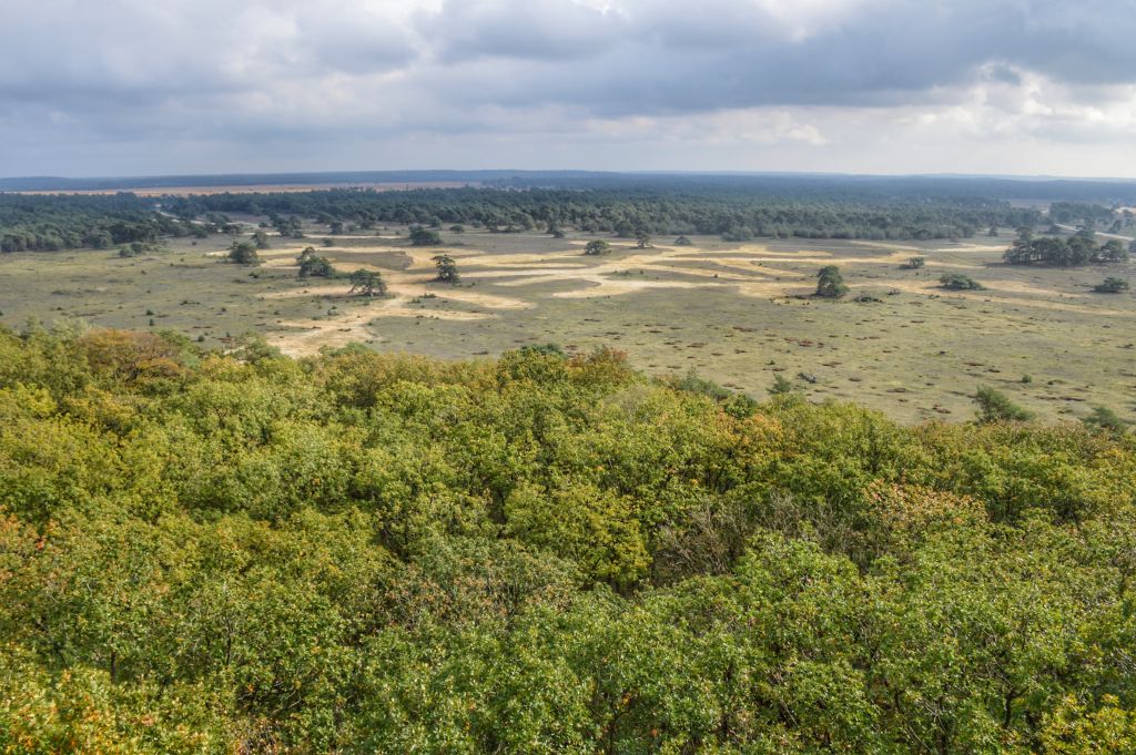 Uitzicht op de Hoge Veluwe
