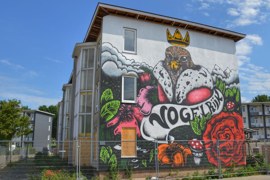 Muurschildering Vogelbuurt Dordrecht