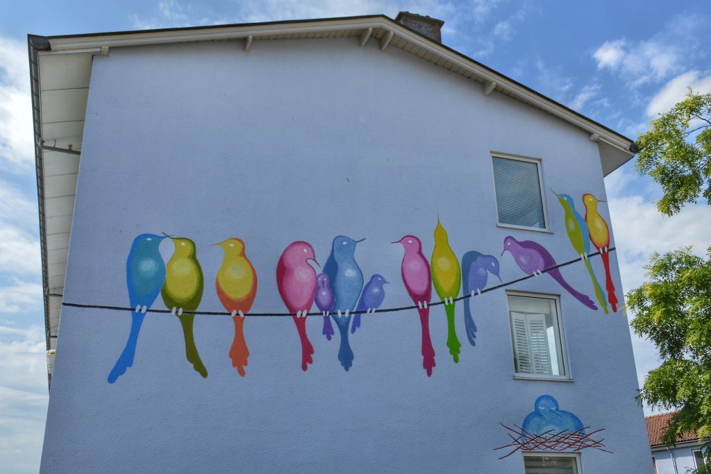 Muurschildering Vogelbuurt Dordrecht