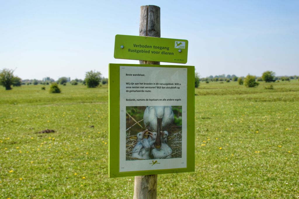Lepelaars de Blauwe Kamer