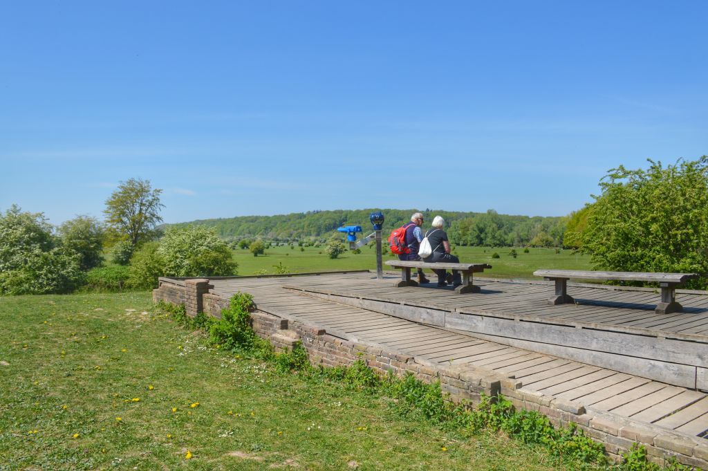 Natuurgebied de Blauwe Kamer