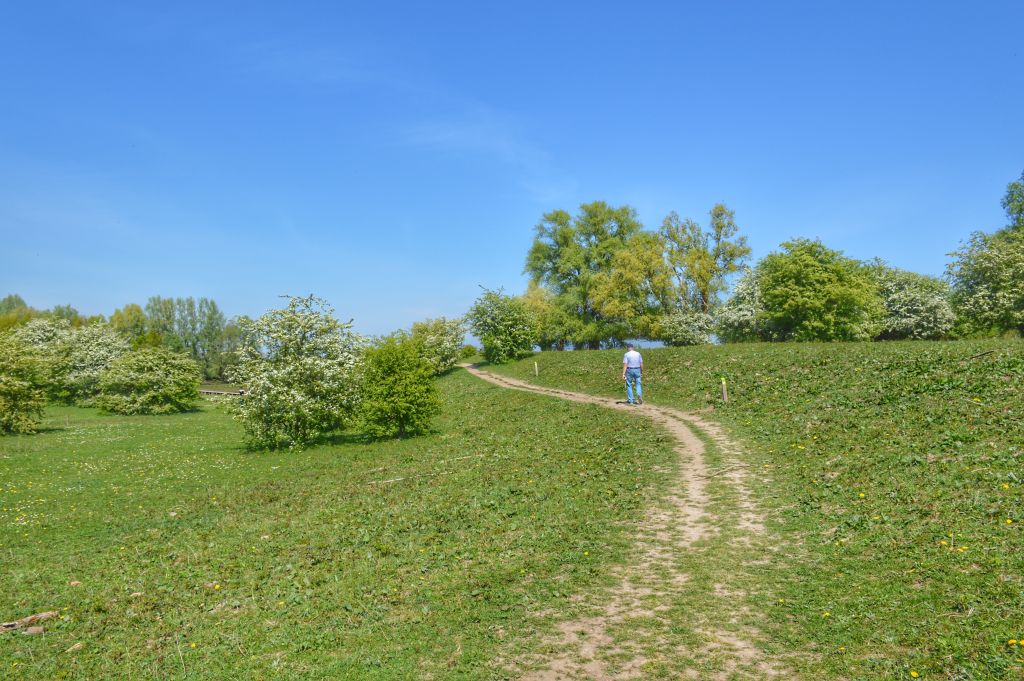 Wandeling in natuurgebied de Blauwe Kamer