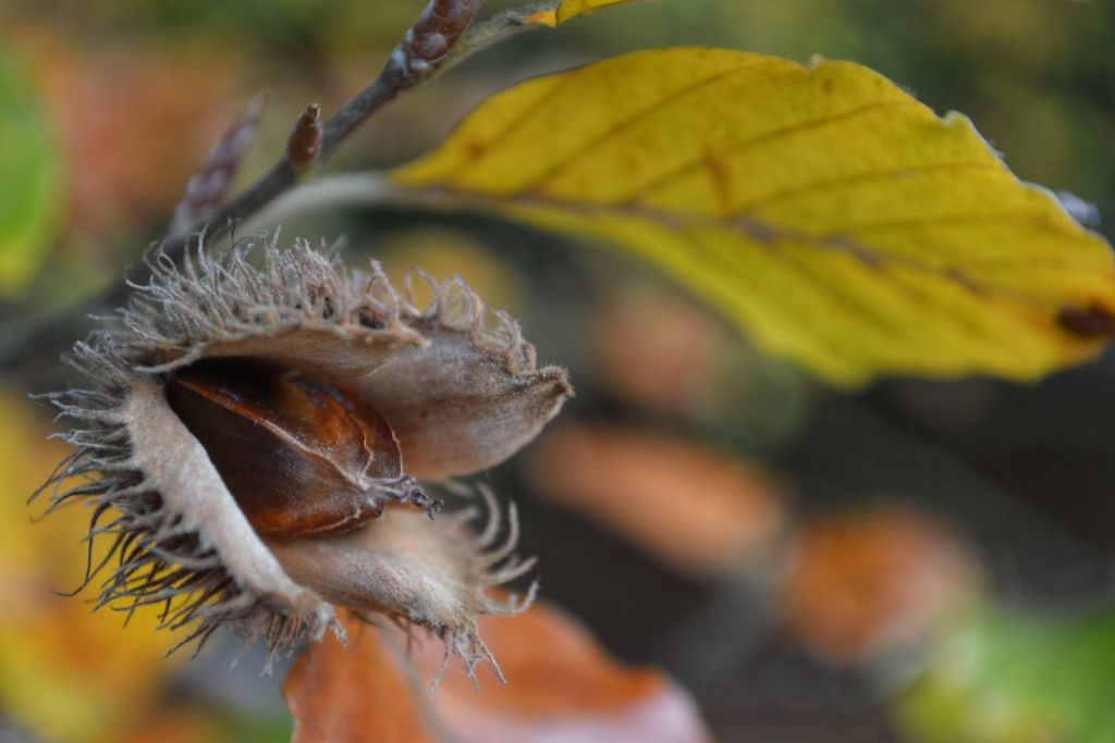 mooie plekken utrechtse heuvelrug