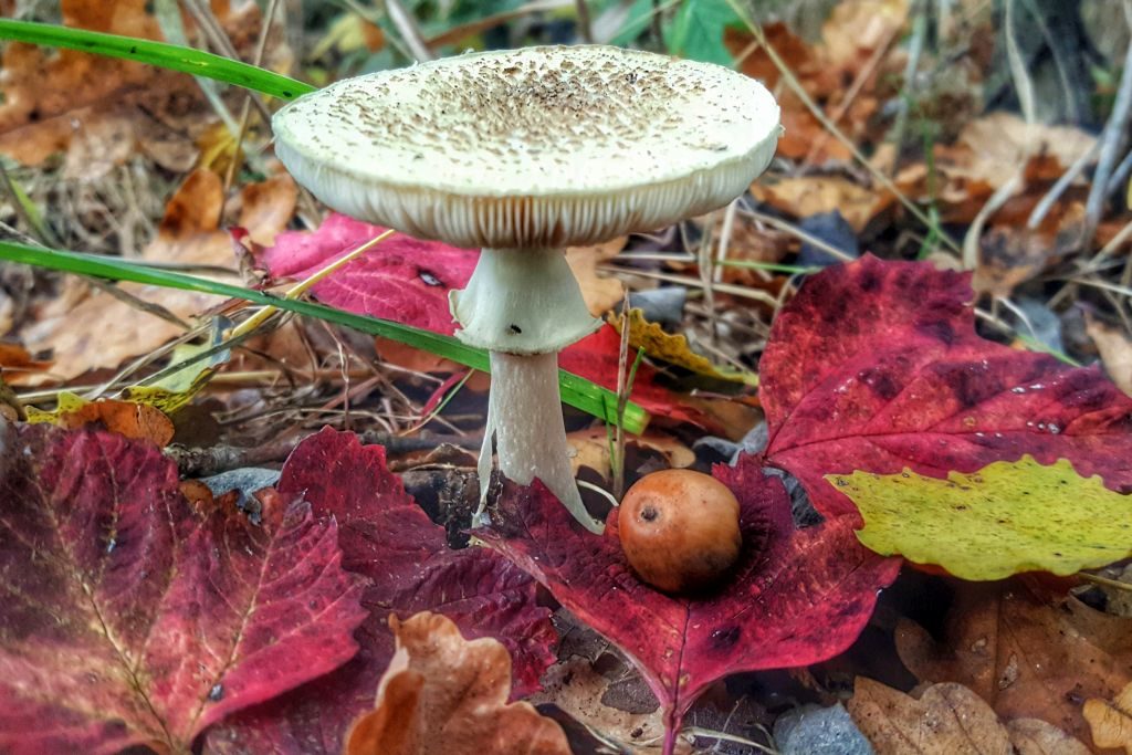 mooie plekken utrechtse heuvelrug