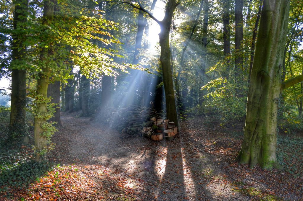 Kasteelbos Renswoude