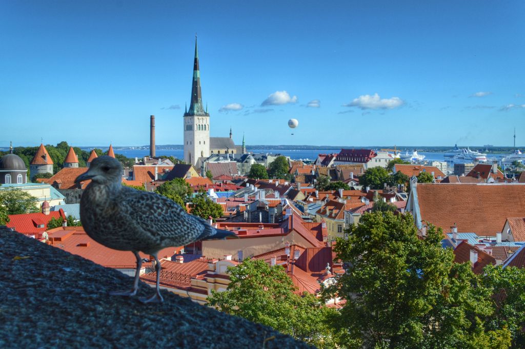 Tallinn